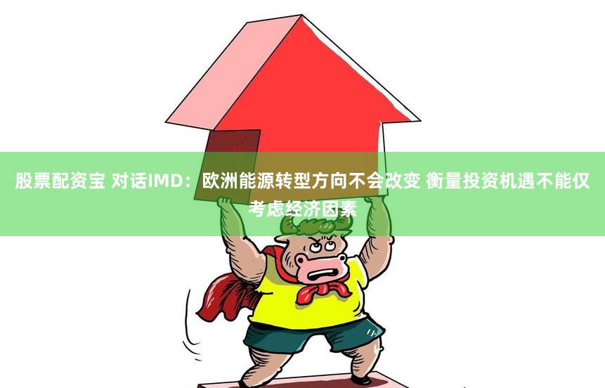 股票配资宝 对话IMD：欧洲能源转型方向不会改变 衡量投资机遇不能仅考虑经济因素