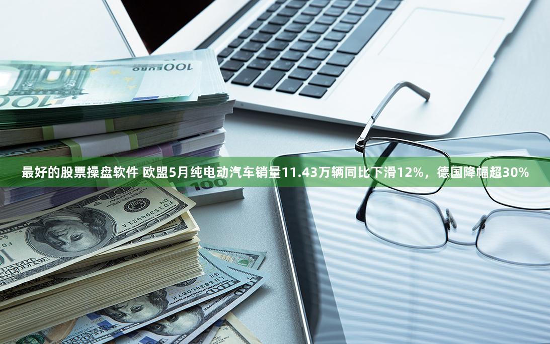 最好的股票操盘软件 欧盟5月纯电动汽车销量11.43万辆同比下滑12%，德国降幅超30%