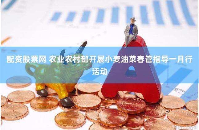 配资股票网 农业农村部开展小麦油菜春管指导一月行活动